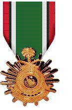 KLM Medal